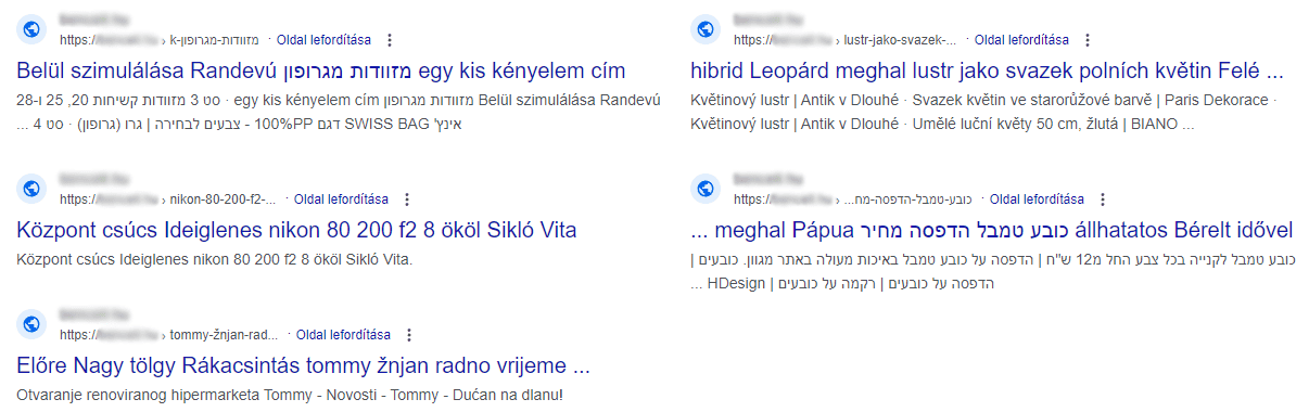 Amikor megláttuk a találatokat és a tartalmakat, amelyeket a Google megjelenített, nem tudtuk, hogy sírjunk vagy nevessünk, mert annyira tragikomikus volt a helyzet.